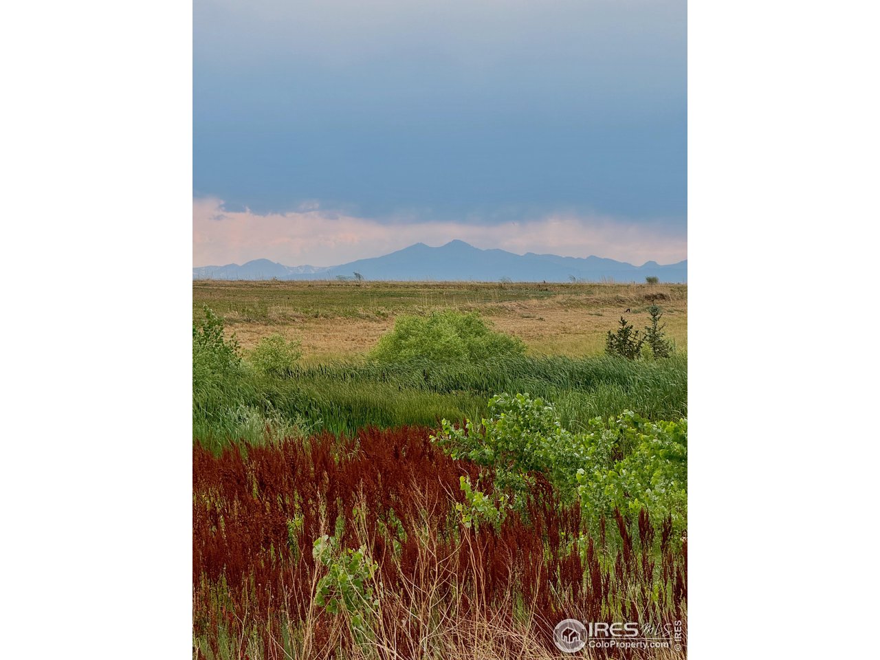 1195 Green Mountain Rd