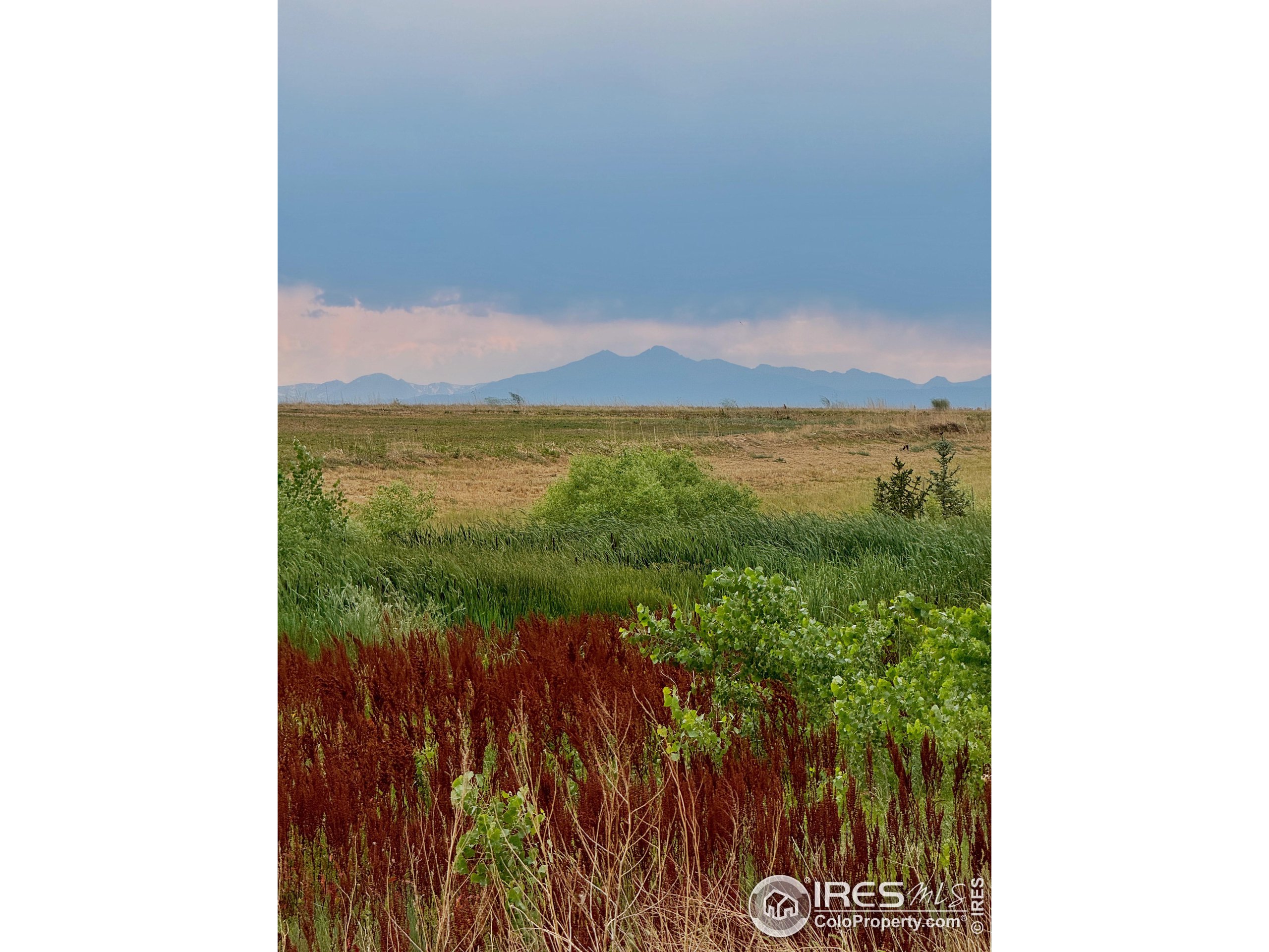 1195 Green Mountain Rd