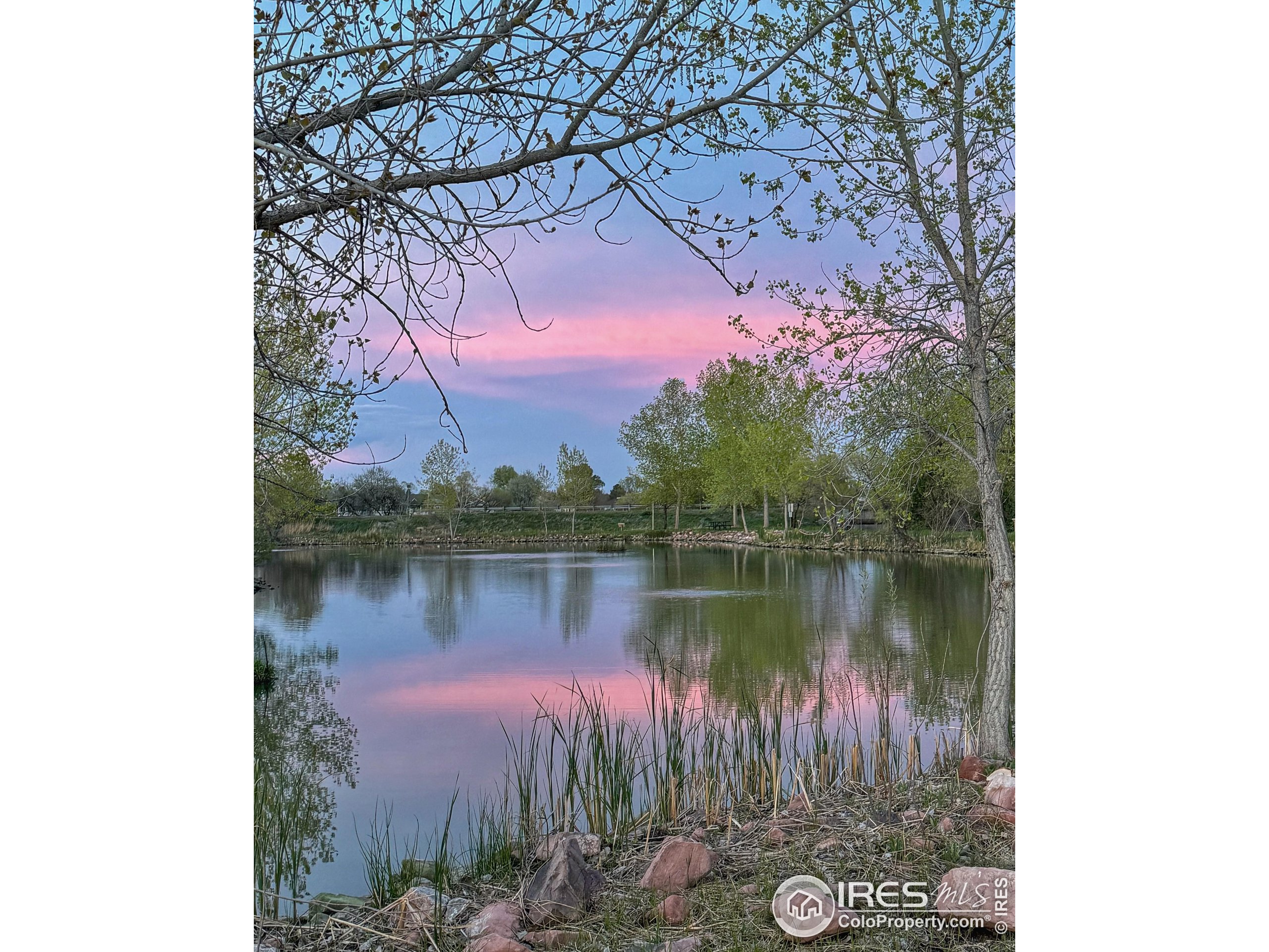 1195 Green Mountain Rd