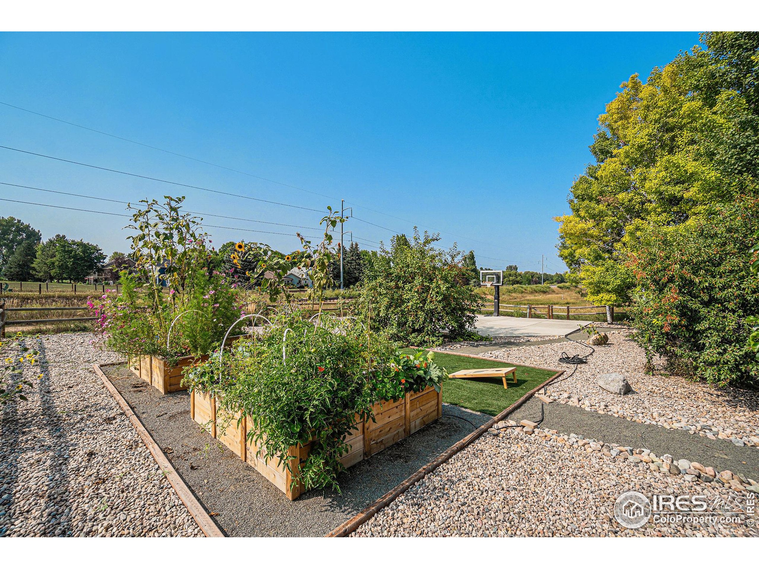 5403 Golden Willow Dr