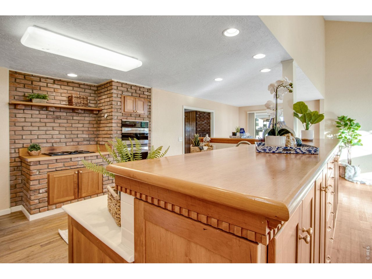 1032 Linden Gate Ct