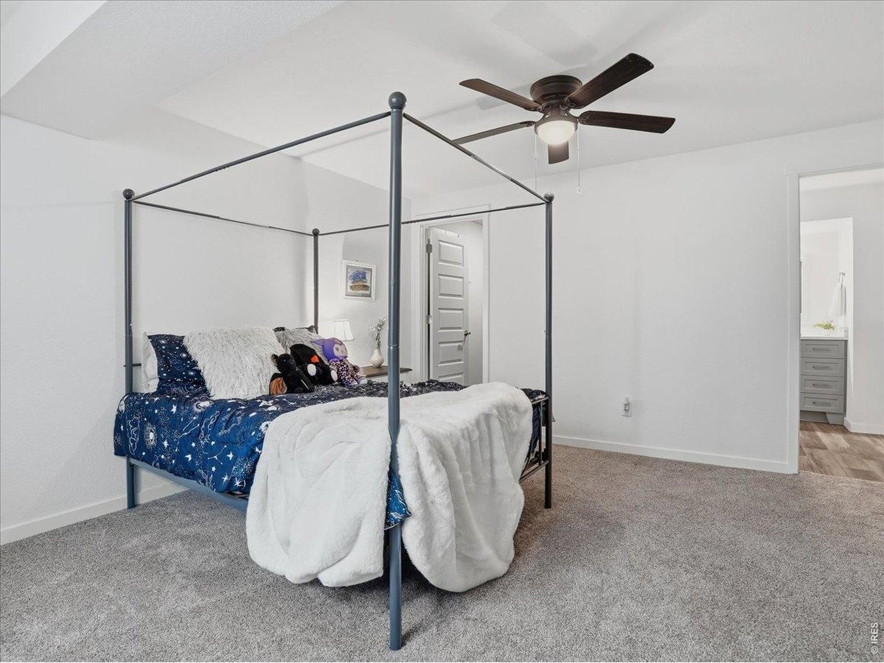 1229 Argali Dr