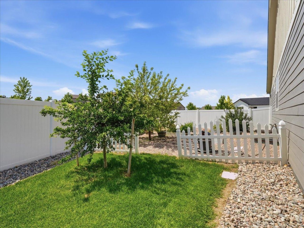 1229 Argali Dr