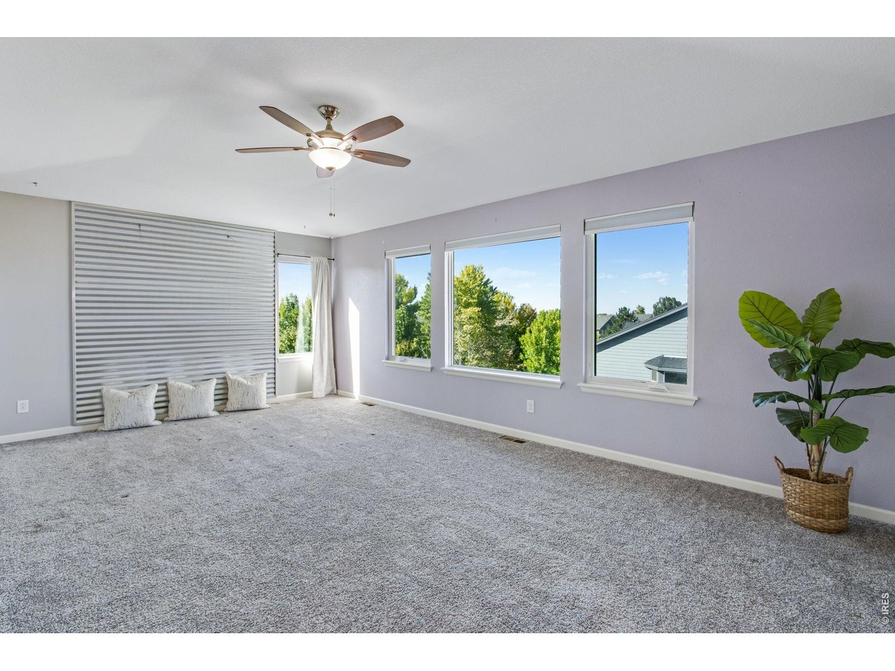 Spacious carpeted bedroom with a ceiling fan, three large windows, and a potted plant.