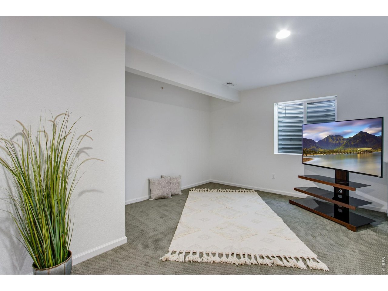 Carpeted living room with a white fringed rug, potted plant, and TV on a wooden stand.