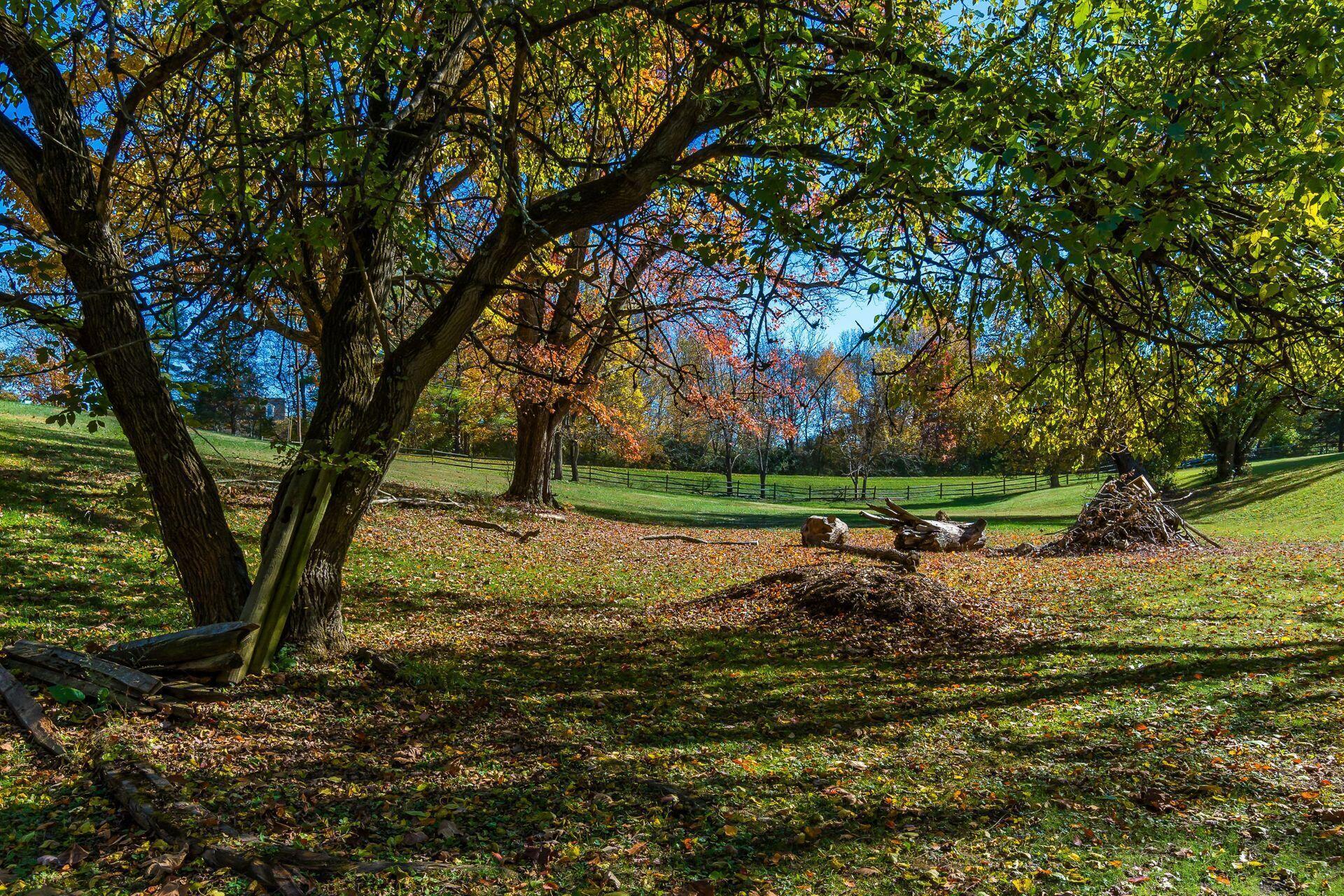 3596 Goose Lane