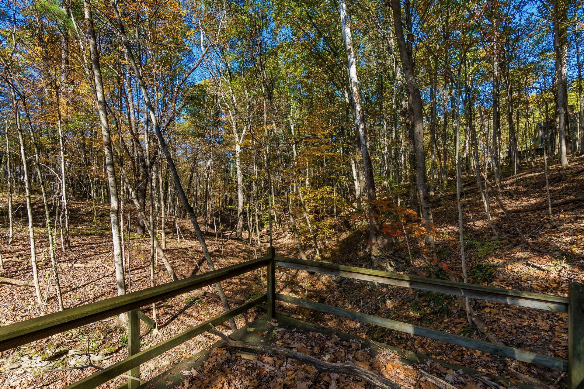 3596 Goose Lane