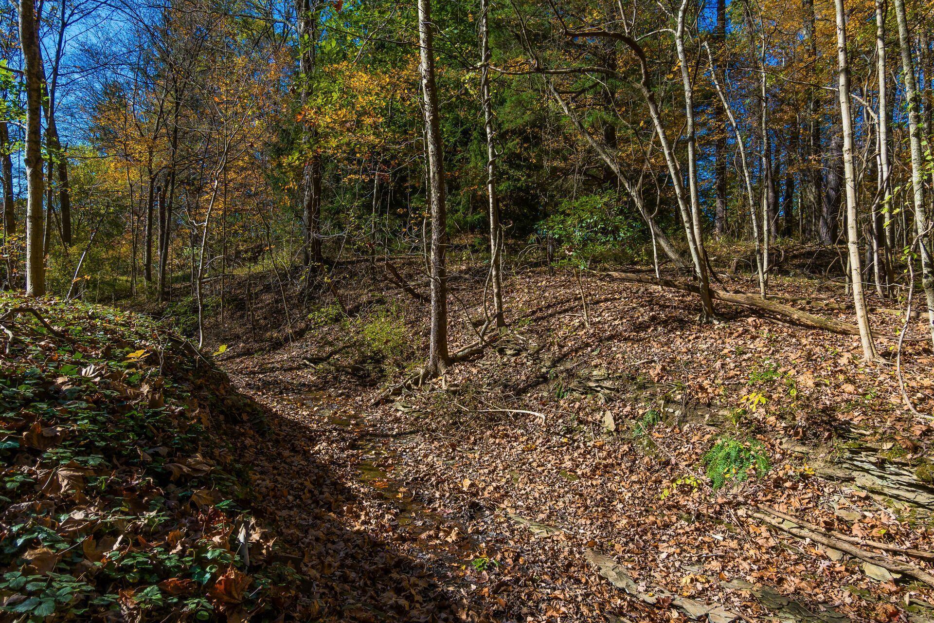 3596 Goose Lane