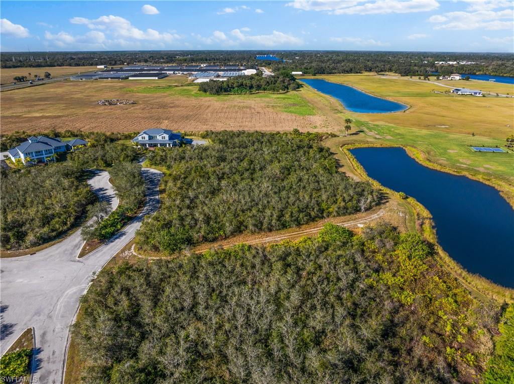 22921 Florida Rosemary LN