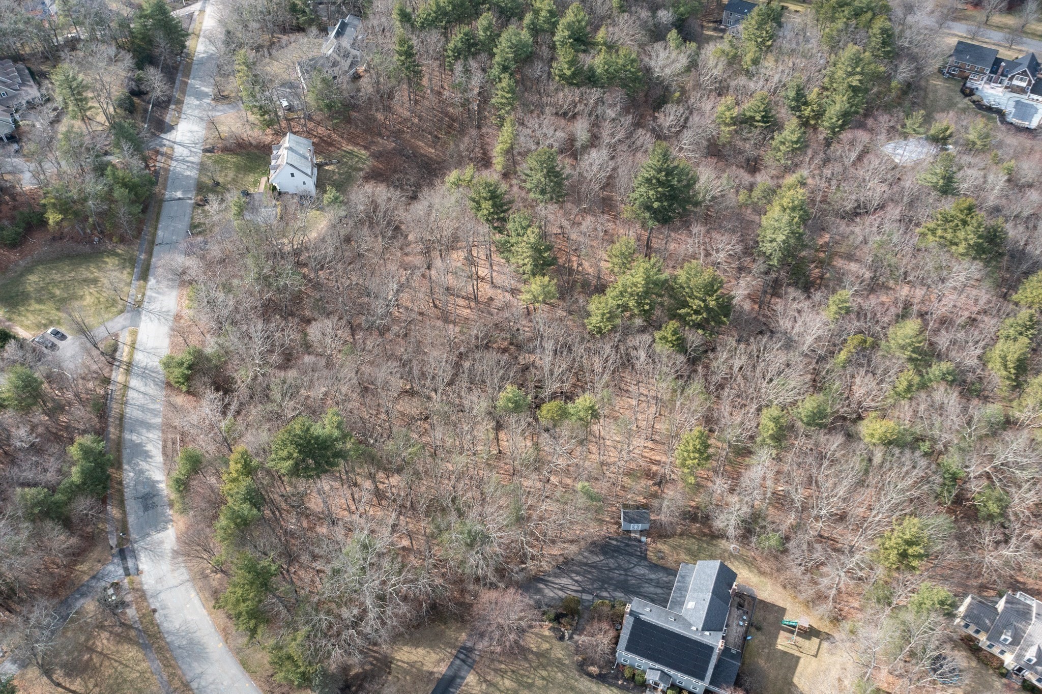 Aerial view of a wooded property beside a residential road, surrounded by neighboring homes.