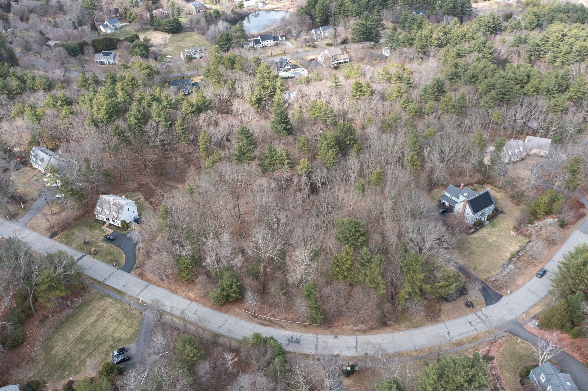 Aerial view of a wooded residential lot among neighboring homes, with a pond in the distance.
