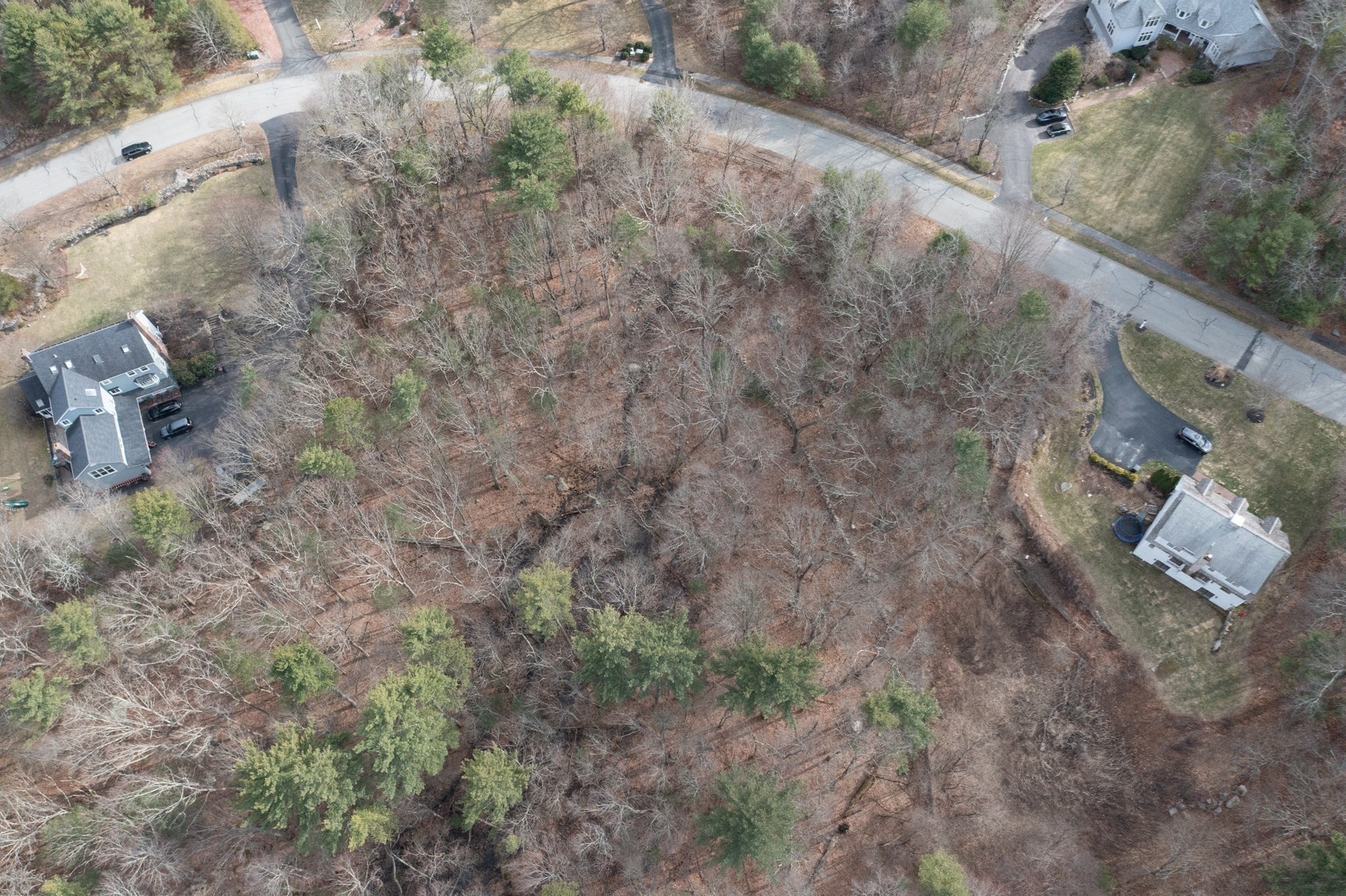 Aerial view of a wooded lot among neighboring homes and roads, with mostly leafless trees.