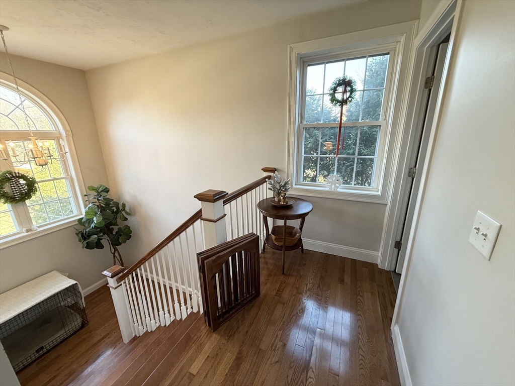 47 Eustis St