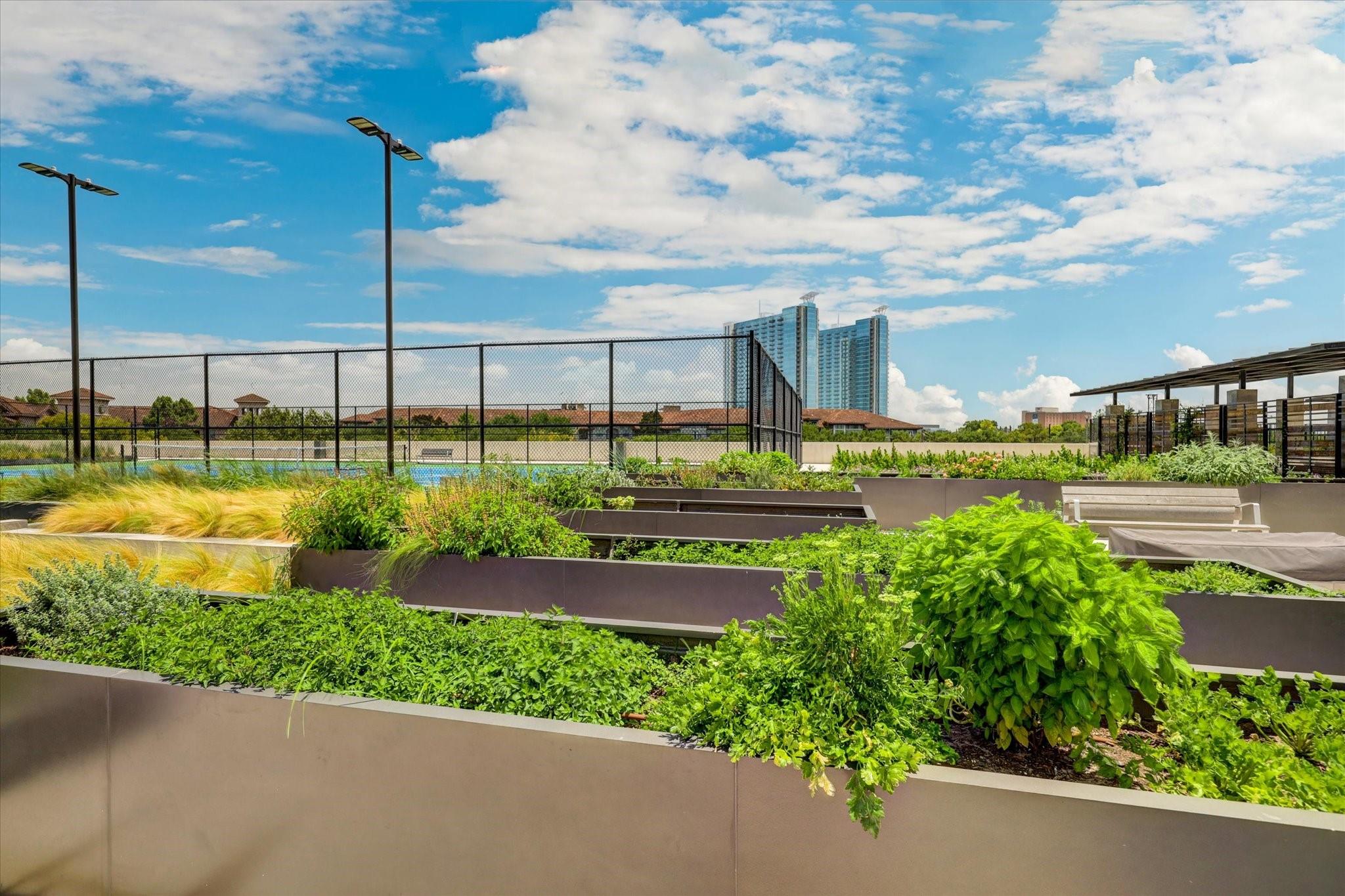 1701 Hermann Drive Drive Unit: 27CE