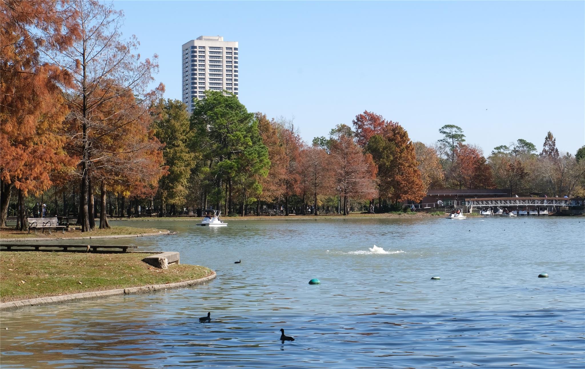 1701 Hermann Drive Unit: 26AB