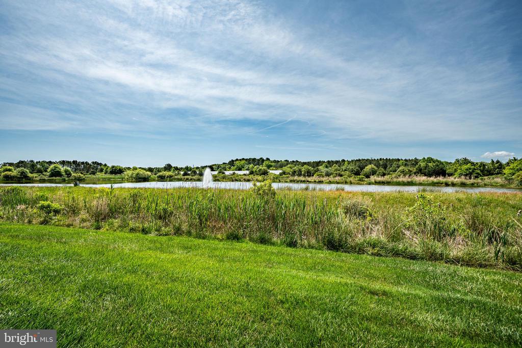 38908 BLUE INDIGO ROAD