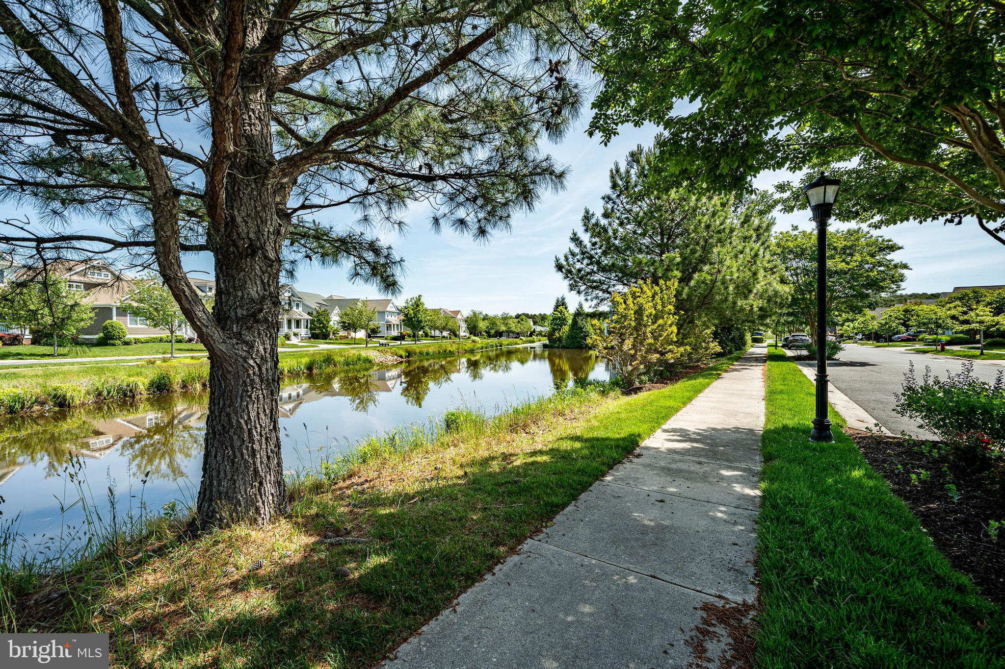 38908 BLUE INDIGO ROAD