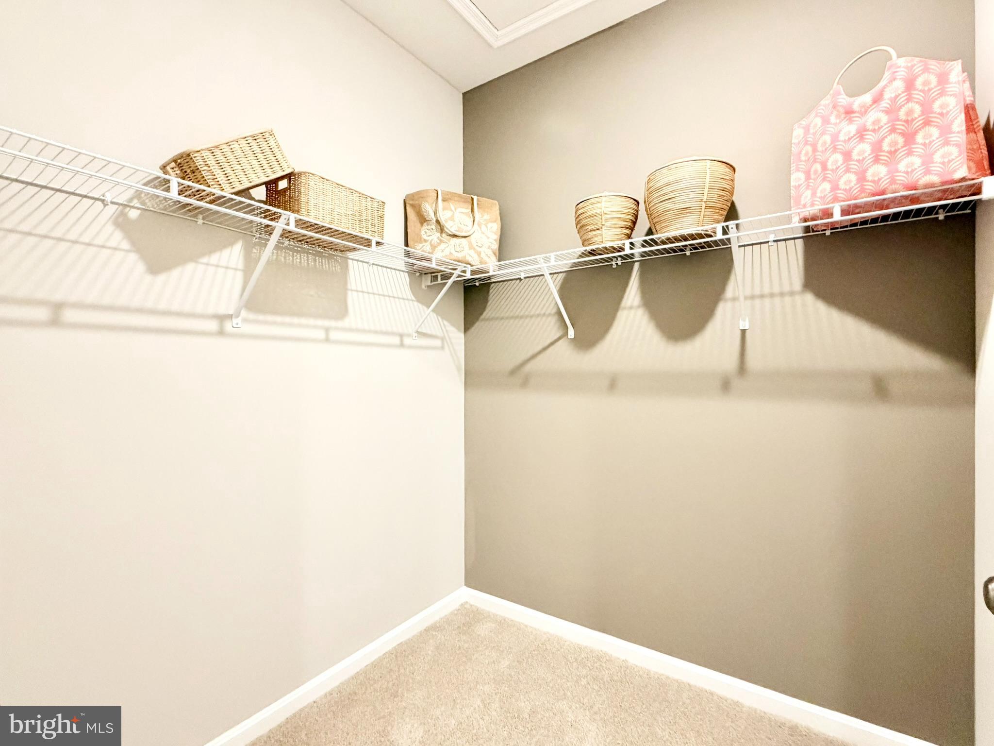 34222 FOREST ACRES DRIVE