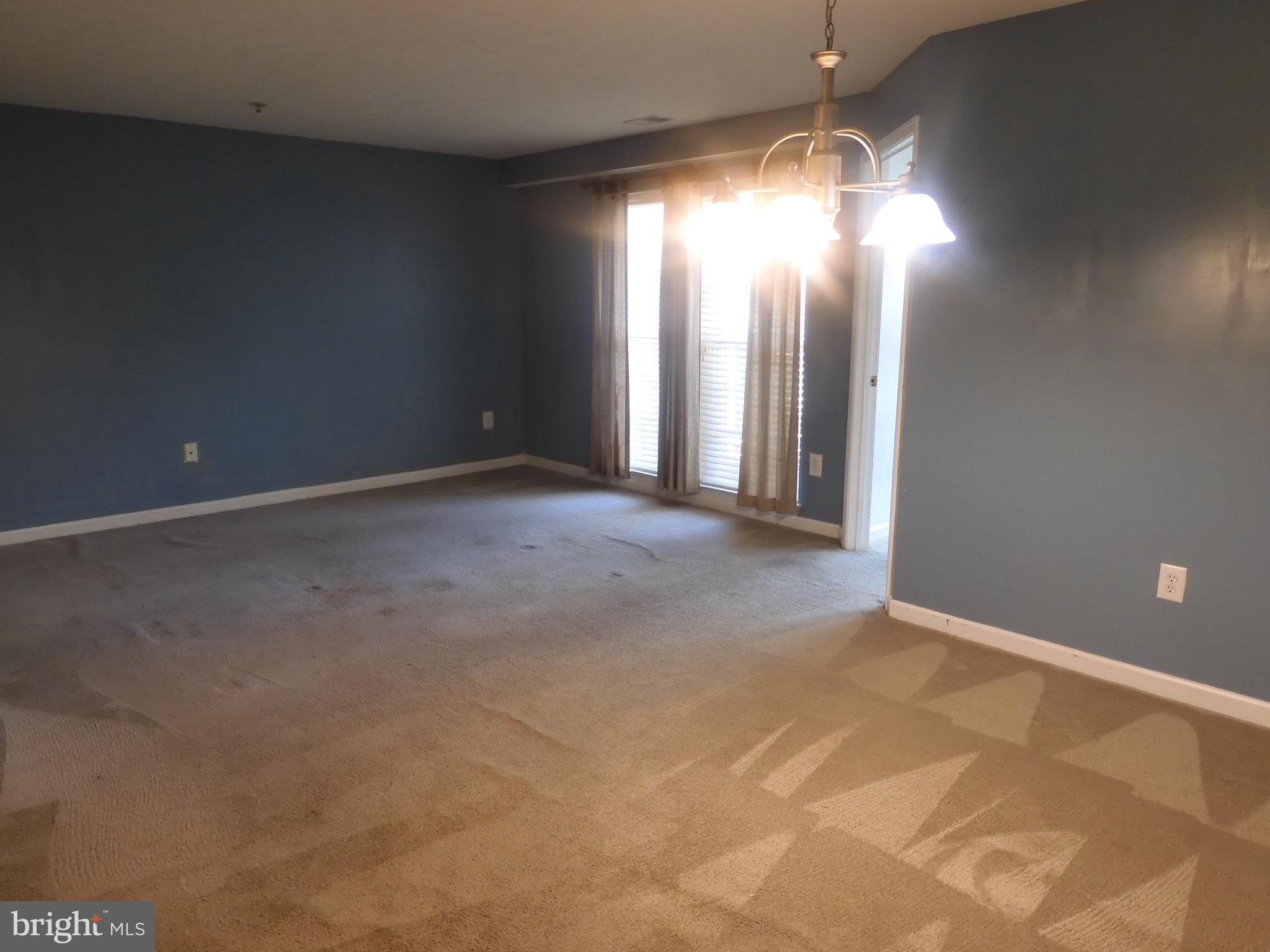 8706 NATURES TRAIL COURT 101