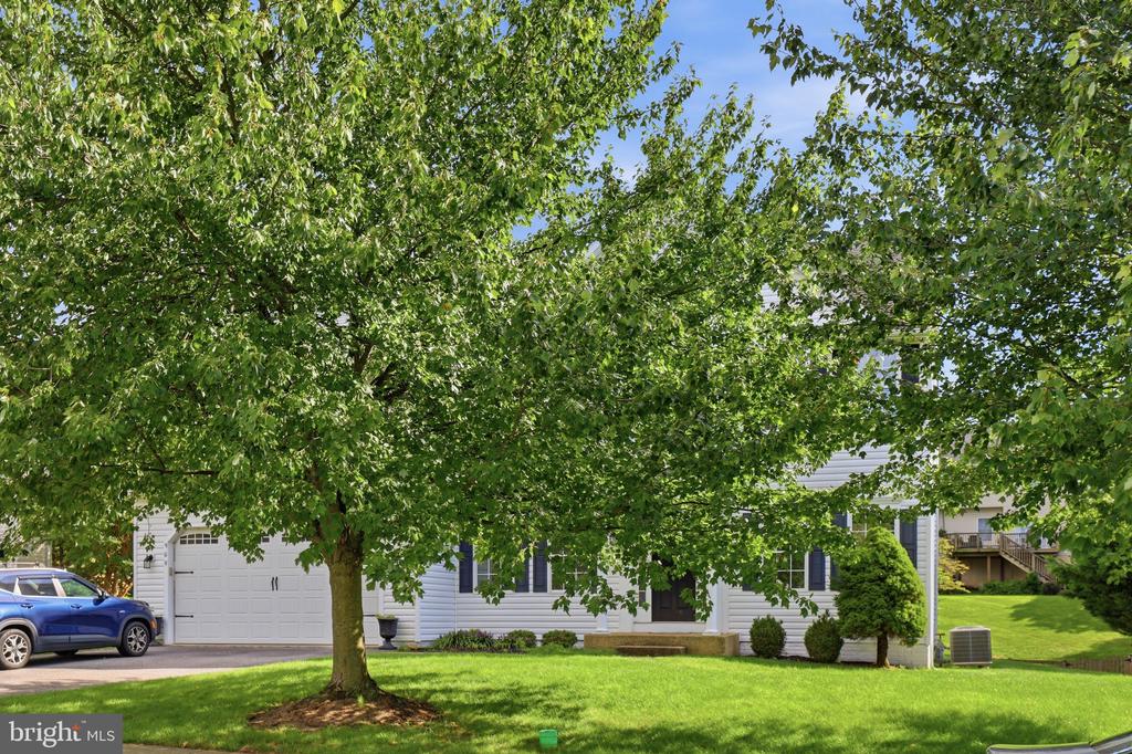 909 BRIDLEWREATH WAY