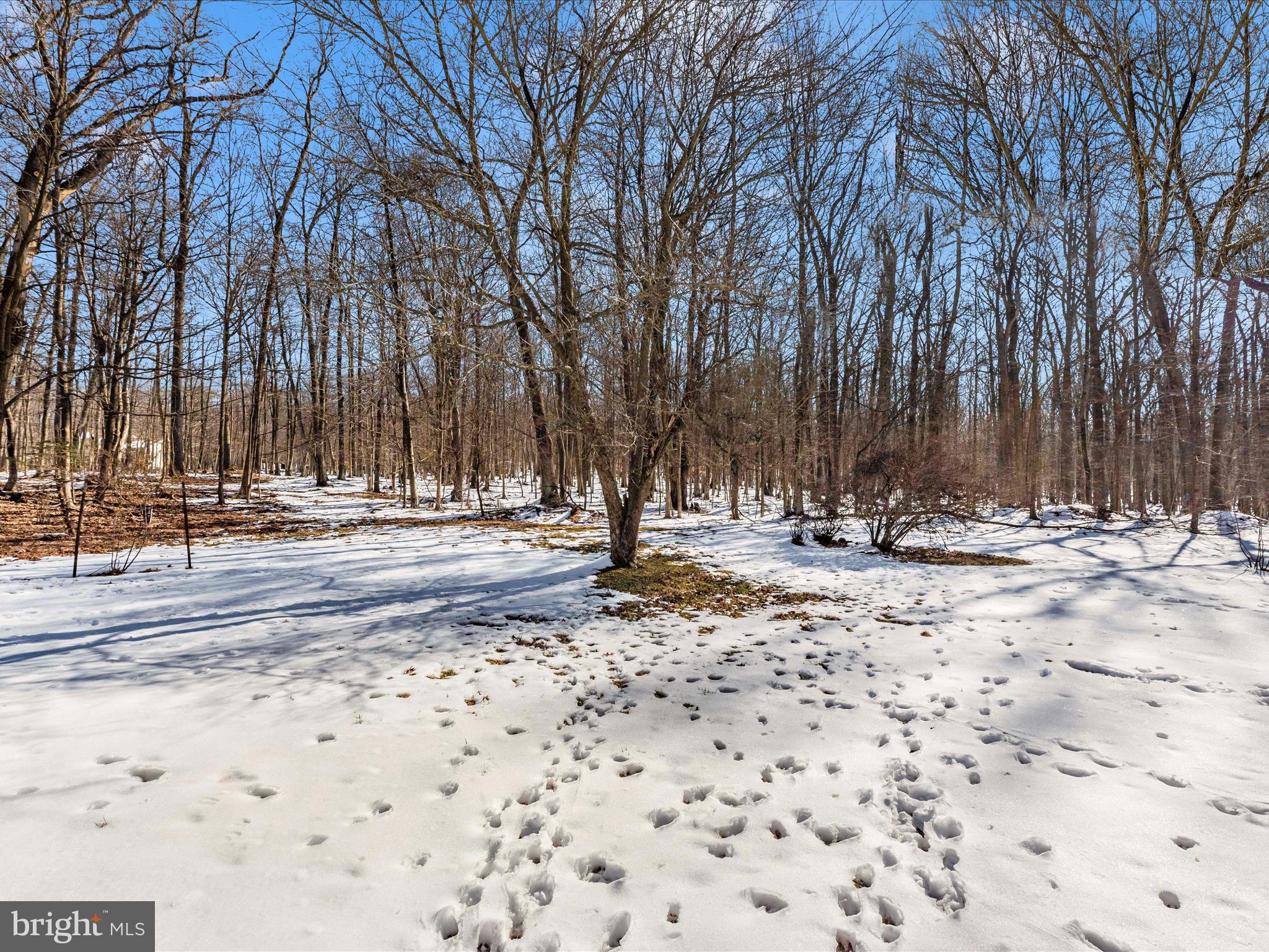 4744 MIDDLEPOINT ROAD D