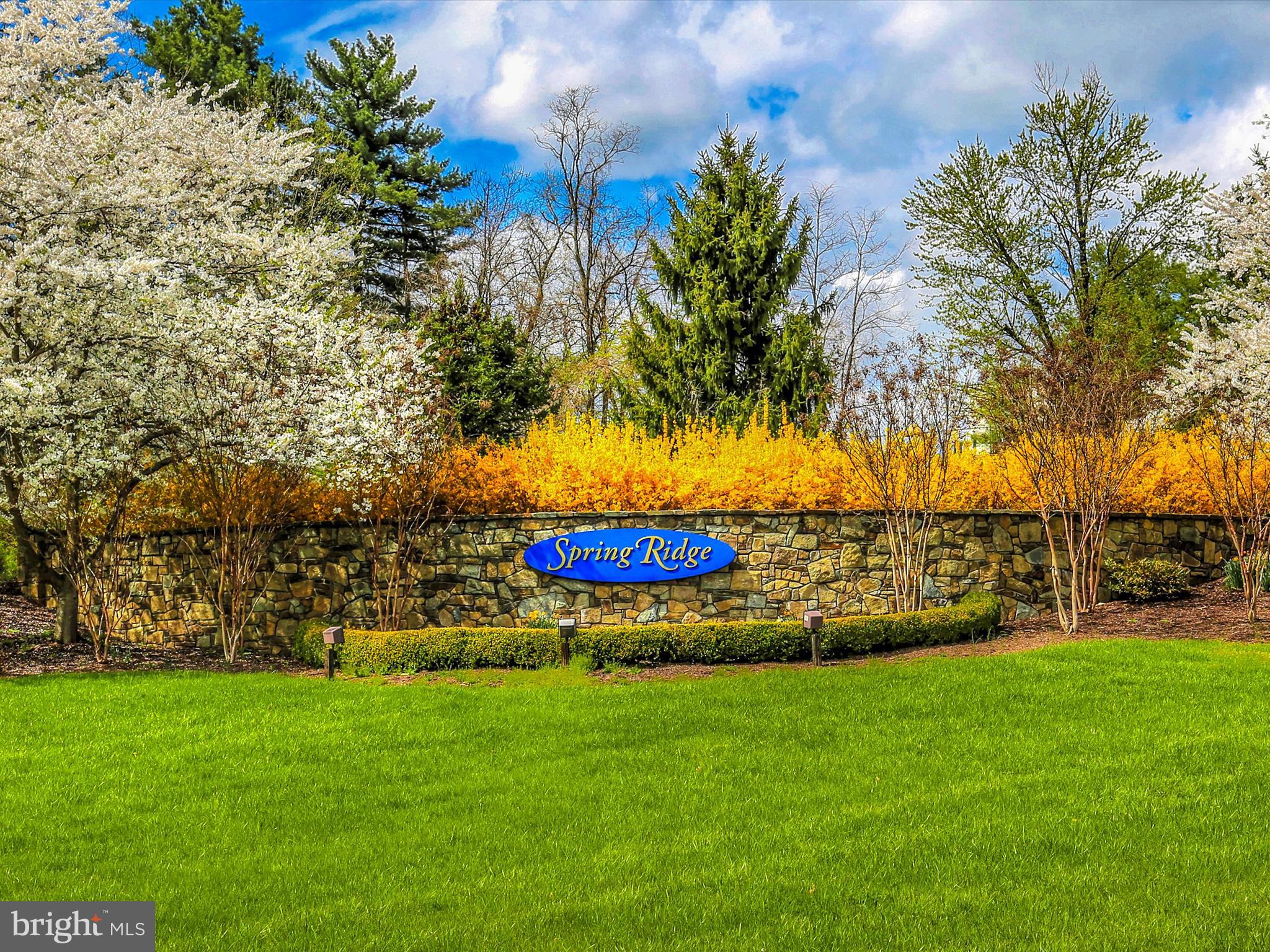 6113 SPRING MEADOW LANE