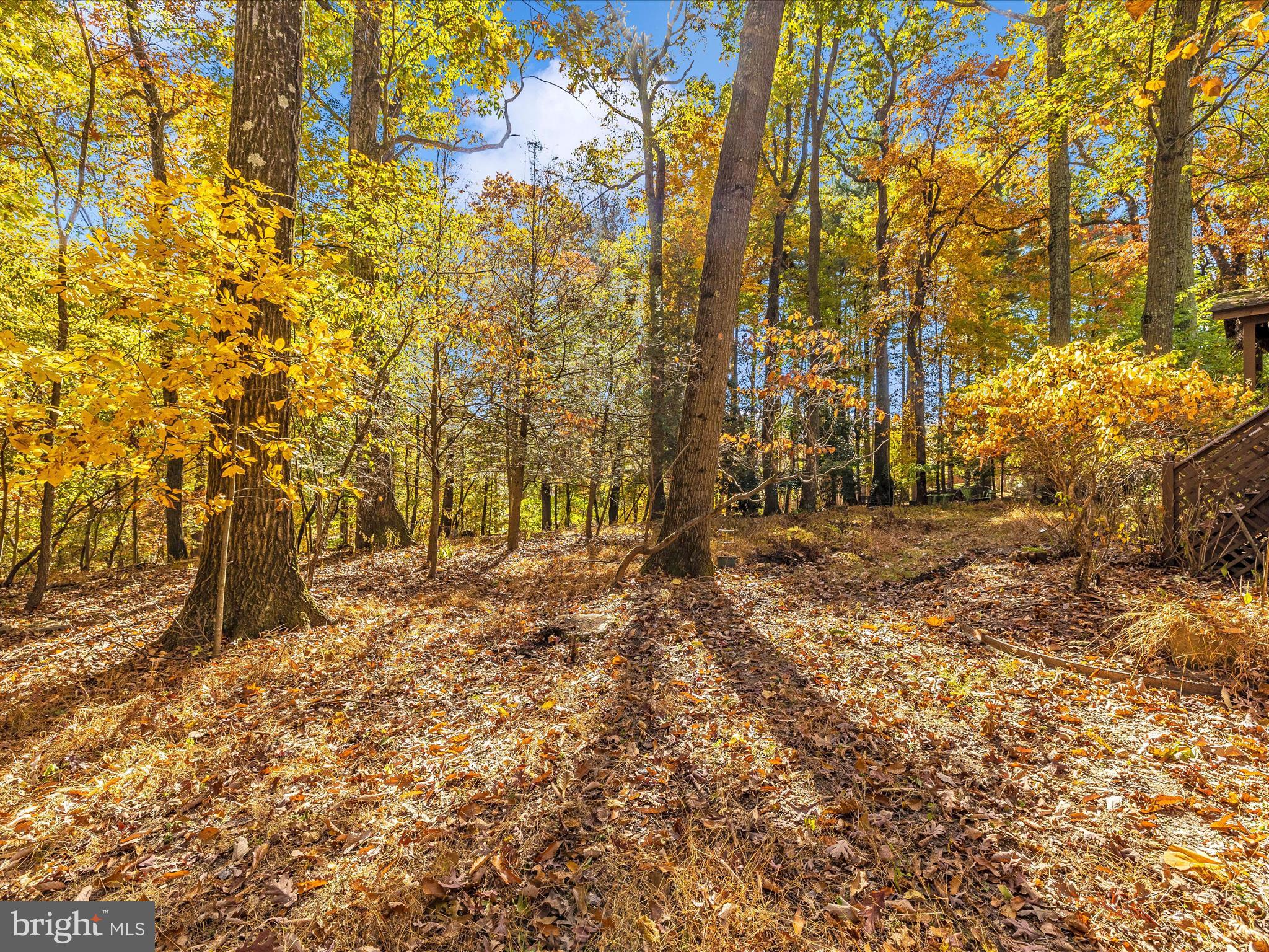 12394 N DEBKAY COURT