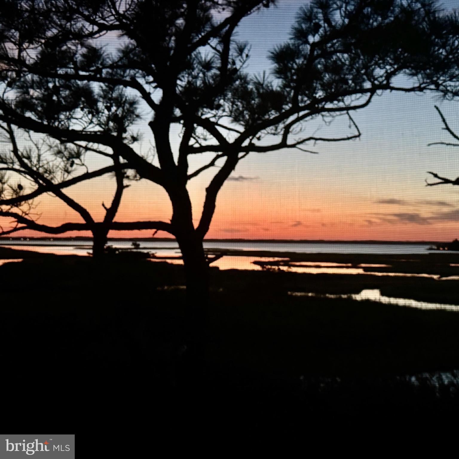 119 OLD LANDING ROAD E203