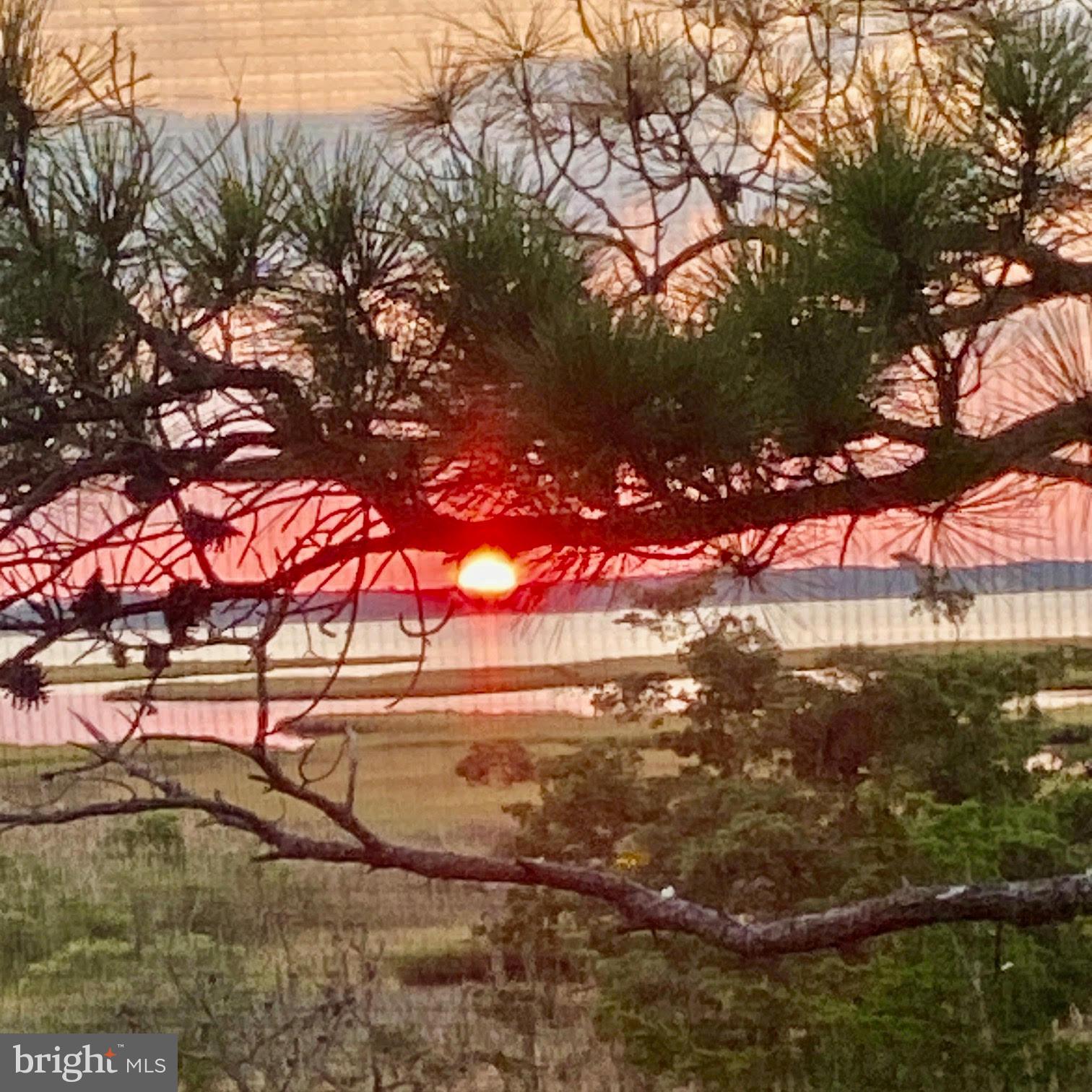 119 OLD LANDING ROAD E203