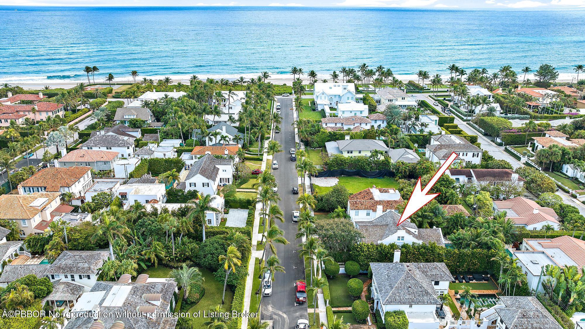 "Sea" Street Paradise