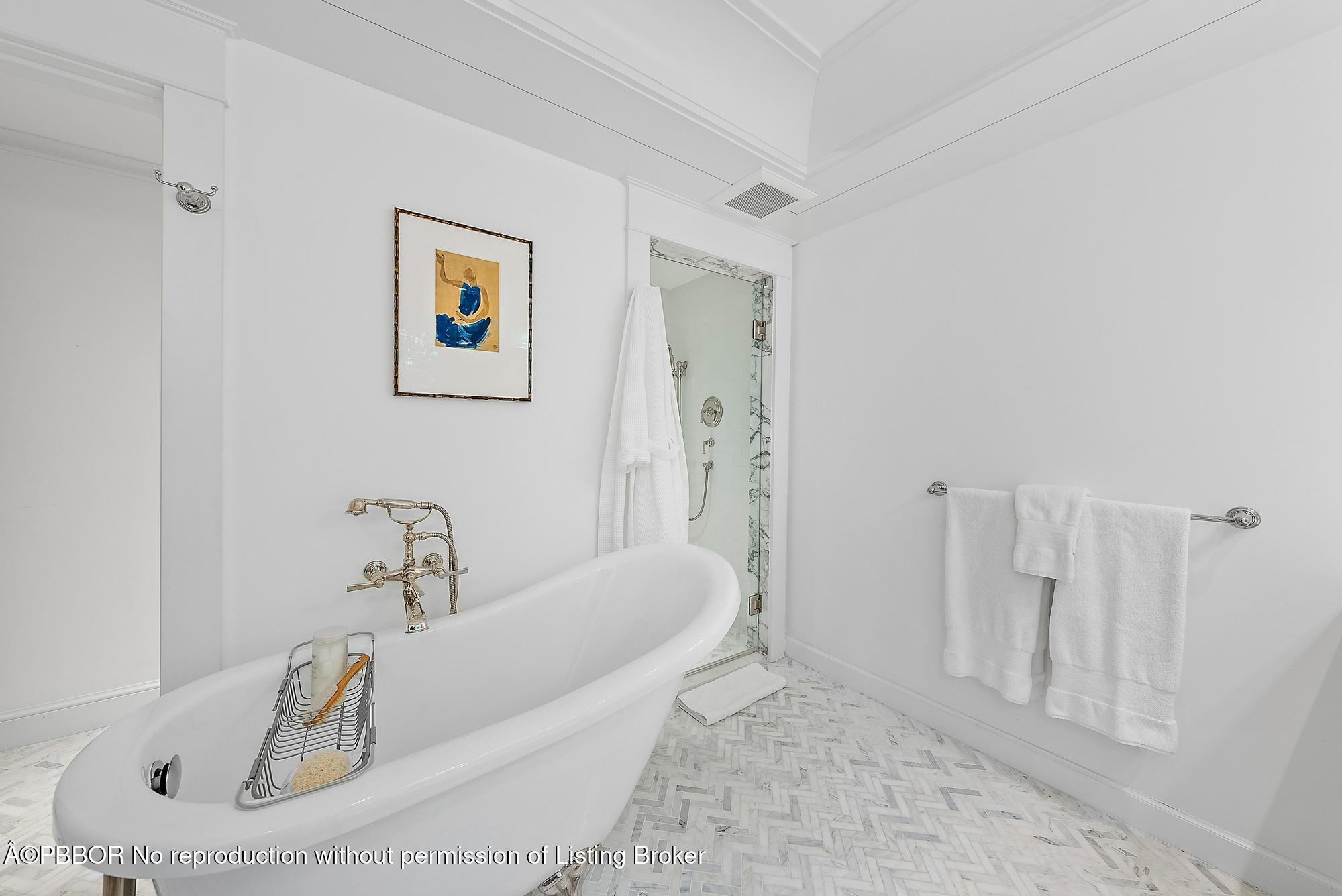 "Sea" Street Paradise