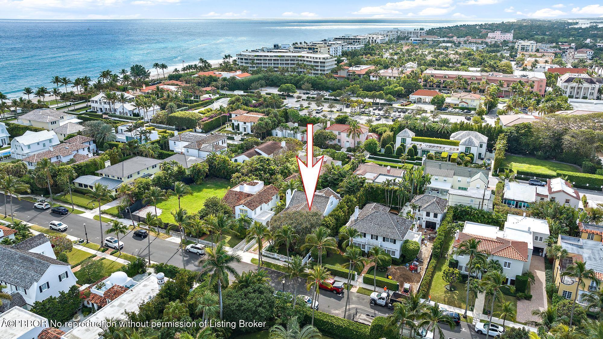 "Sea" Street Paradise