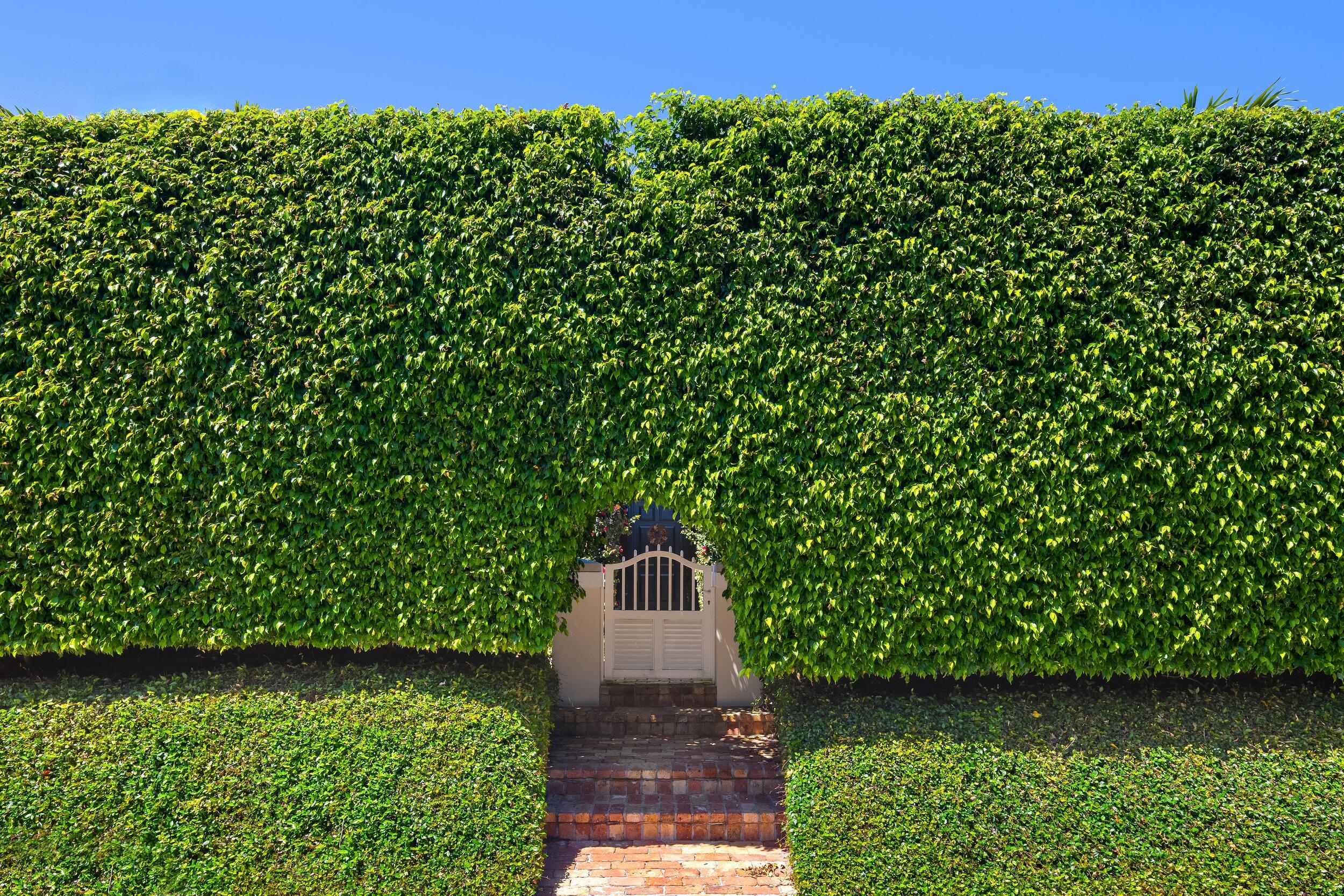 231 Coral Lane