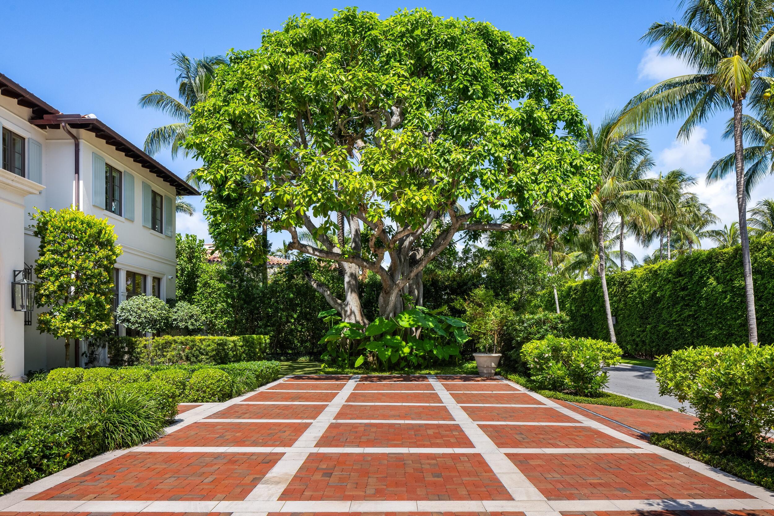 220 Jungle Road