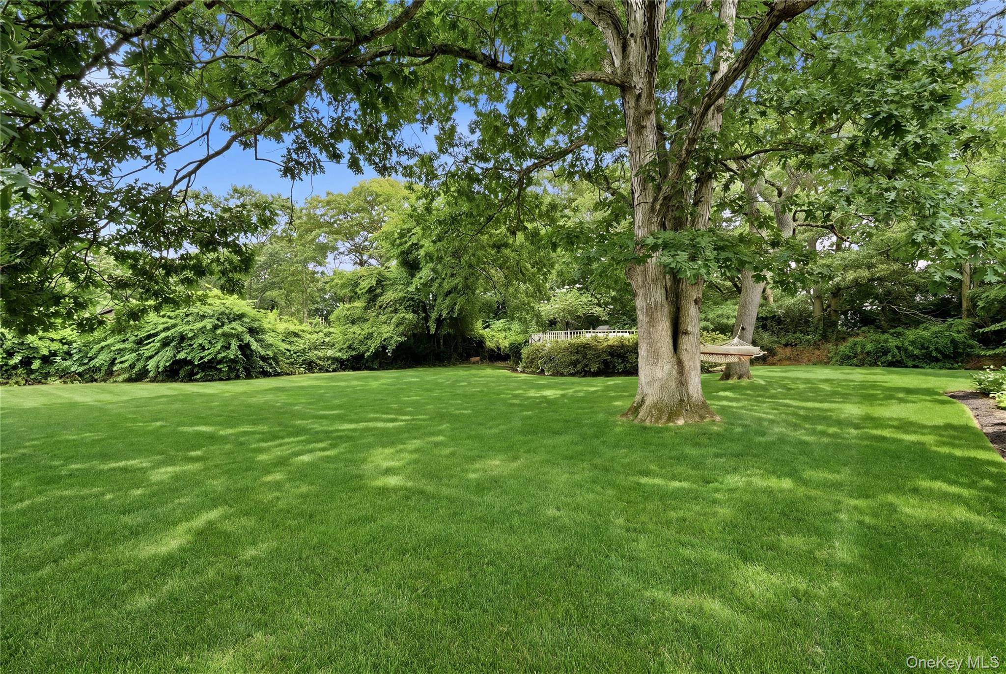 289 Central Avenue