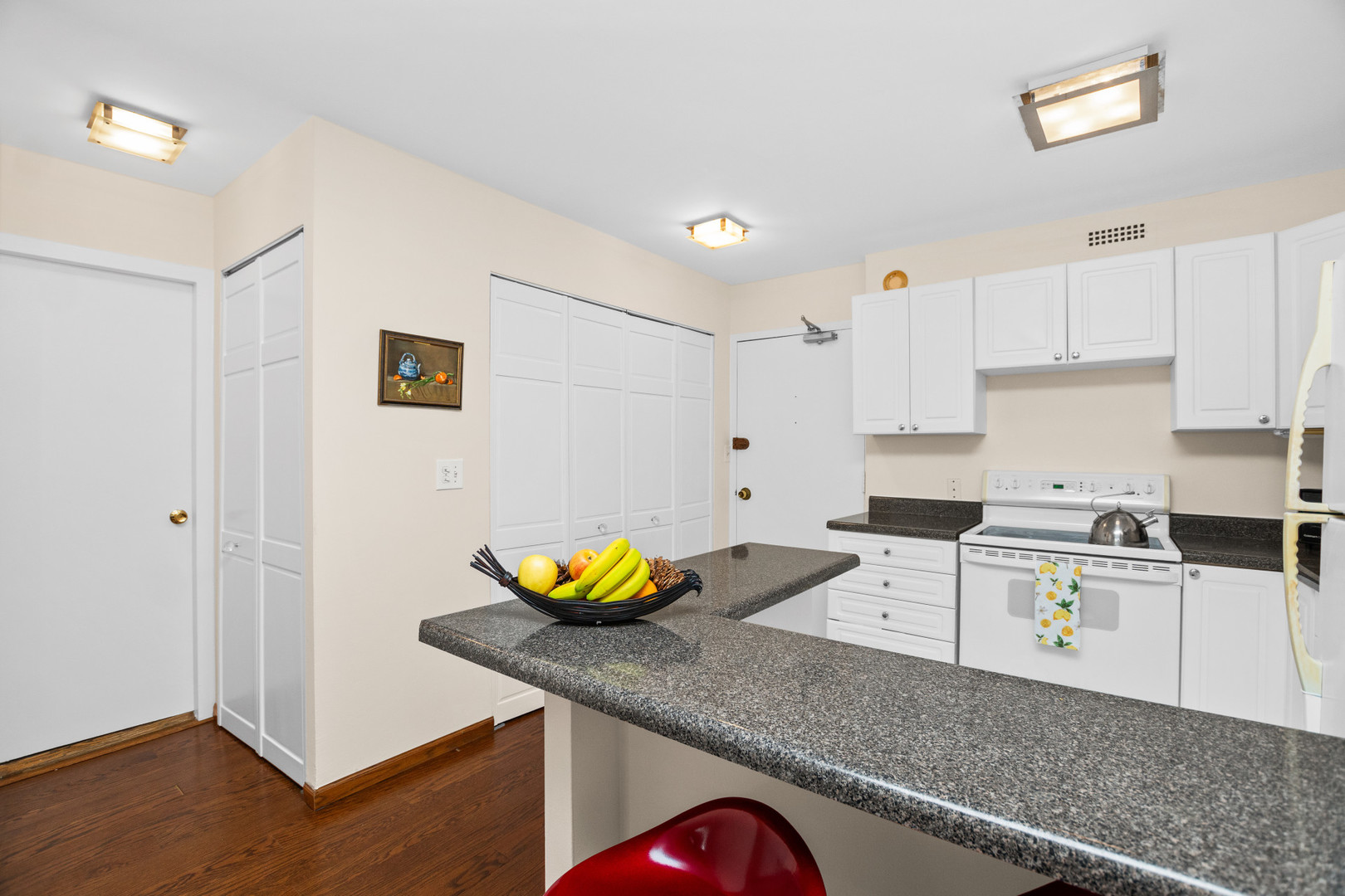 1360 N Sandburg Terrace Unit: 1106C