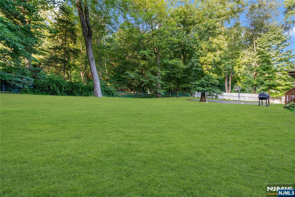 3 Bluefield Court