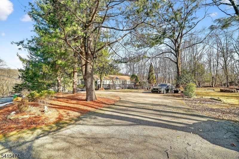 21 Ulster St