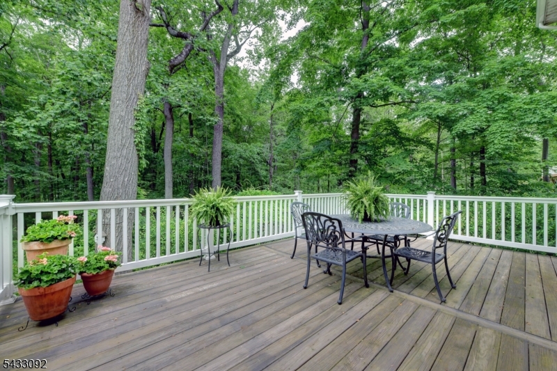 71 Cheshire Ln