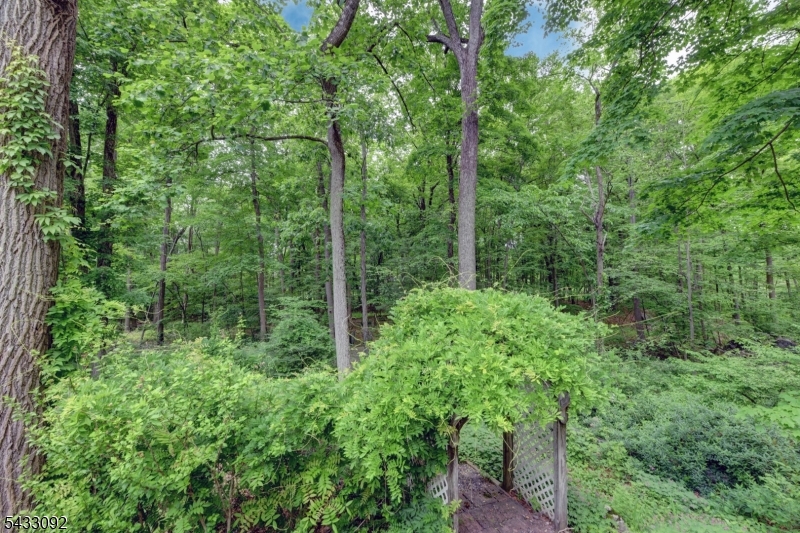 71 Cheshire Ln