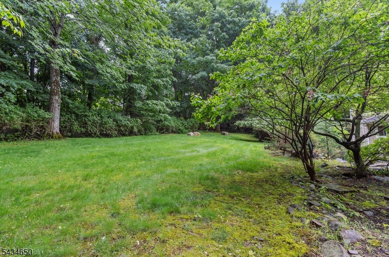 596 Terhune Dr