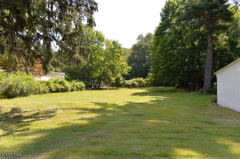 71 Ringwood Ave
