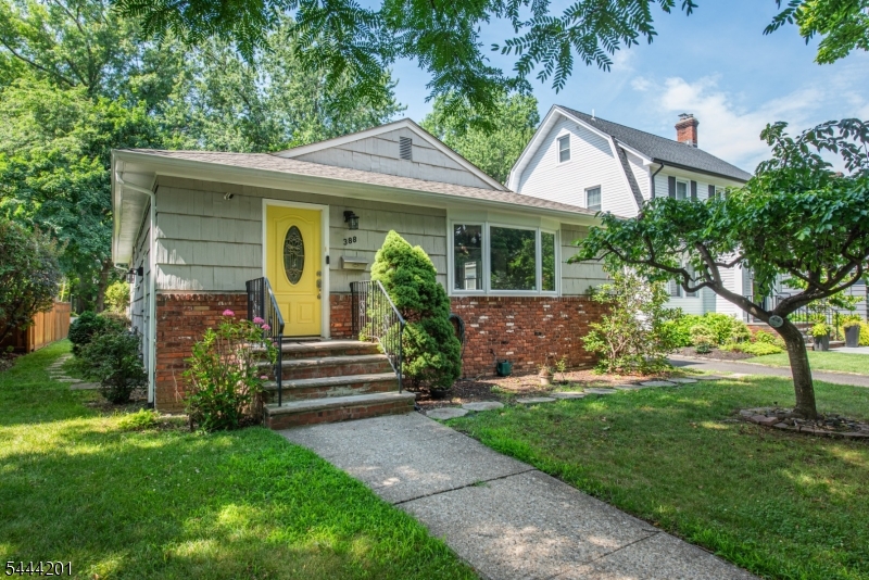 388 Irving Ave