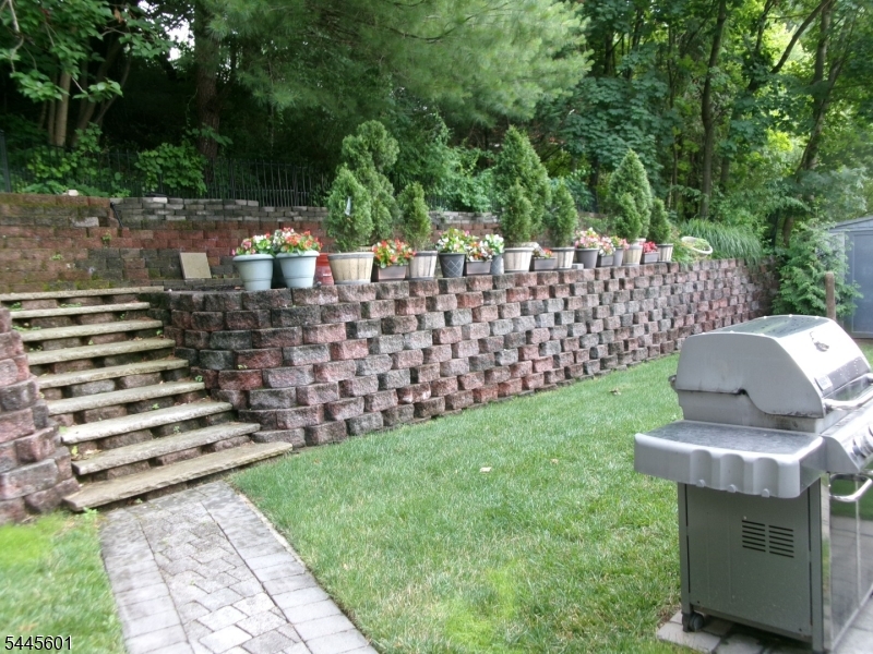 12 Wolfe Dr