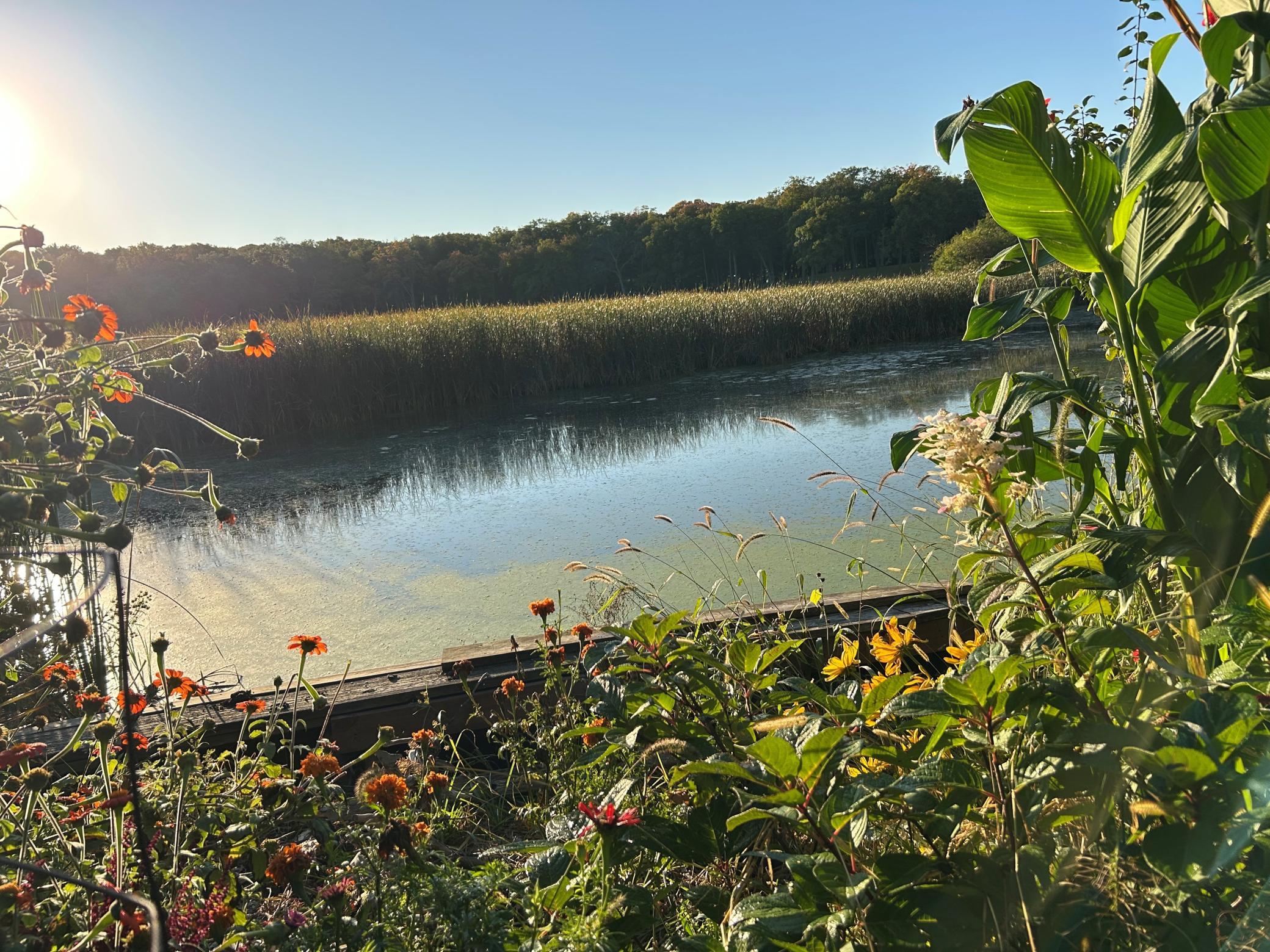 2425 N Shore Drive