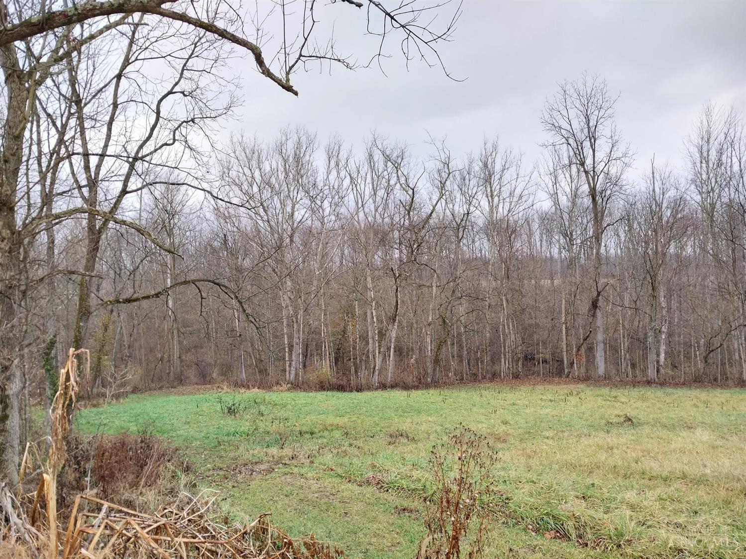 11171 State Route 753