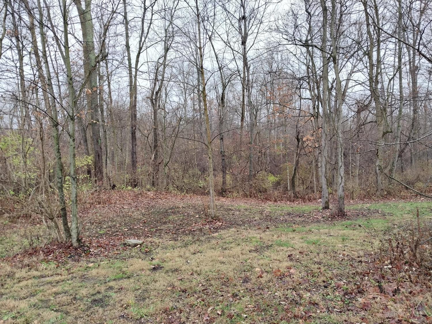 11171 State Route 753