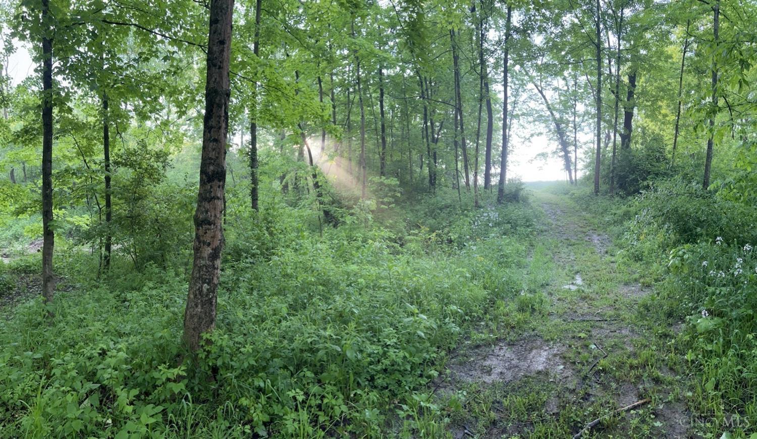 11171 State Route 753