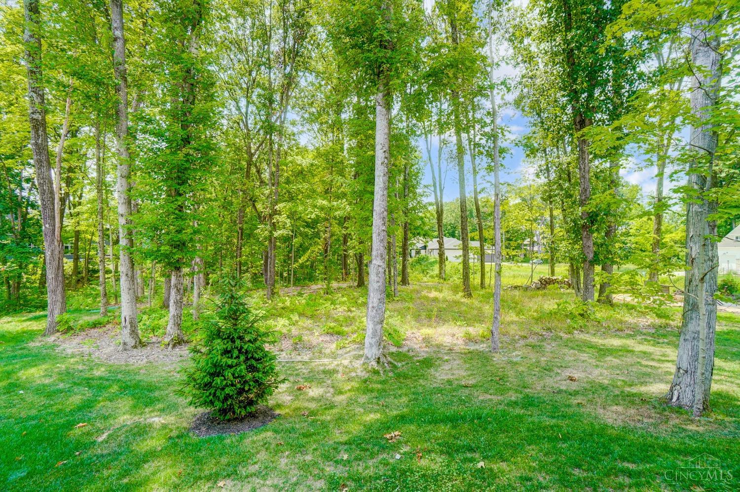 955 Lavender Way