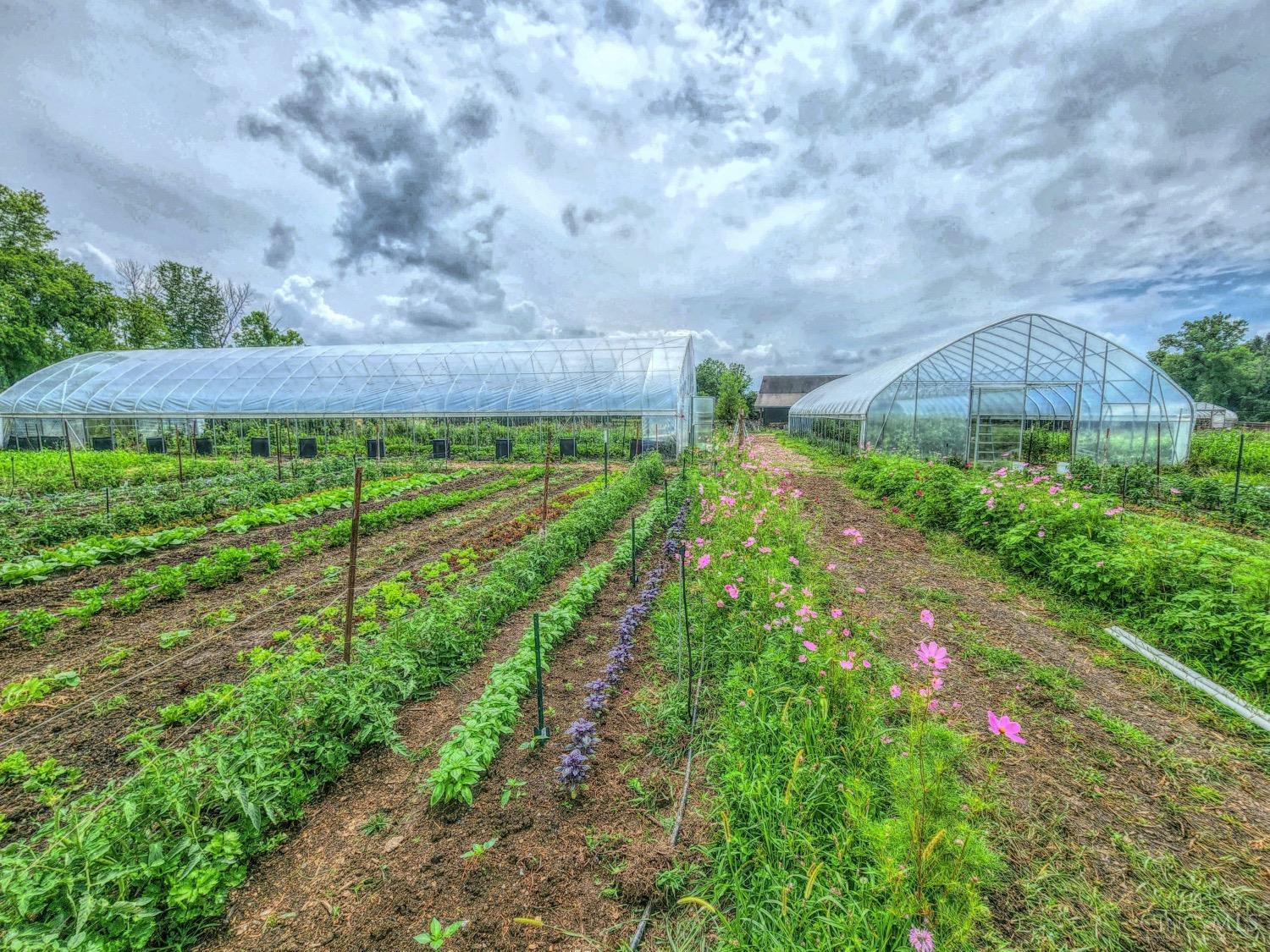 803 Karner Blue Lane